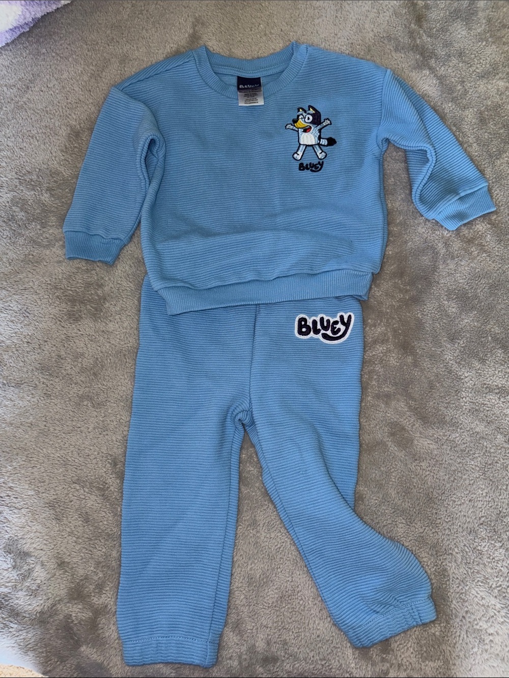 Bluey Kids Two-Piece Sweatshirt & Pants Set. Brand new never worn.